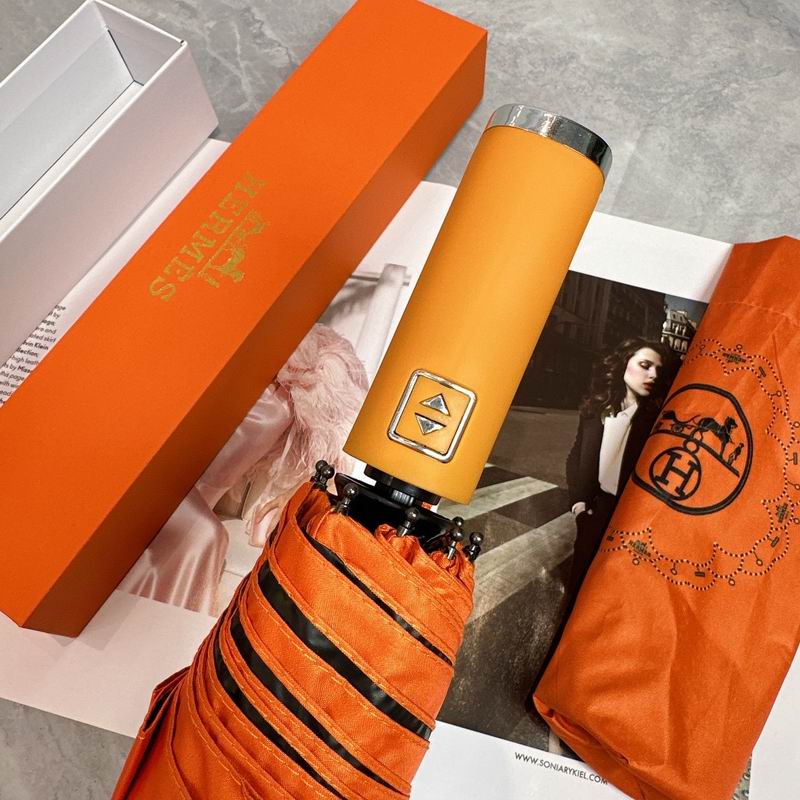 Hermes Umbrella (3)